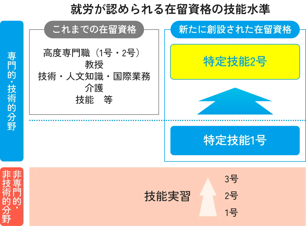 特定技能と技能実習の比較