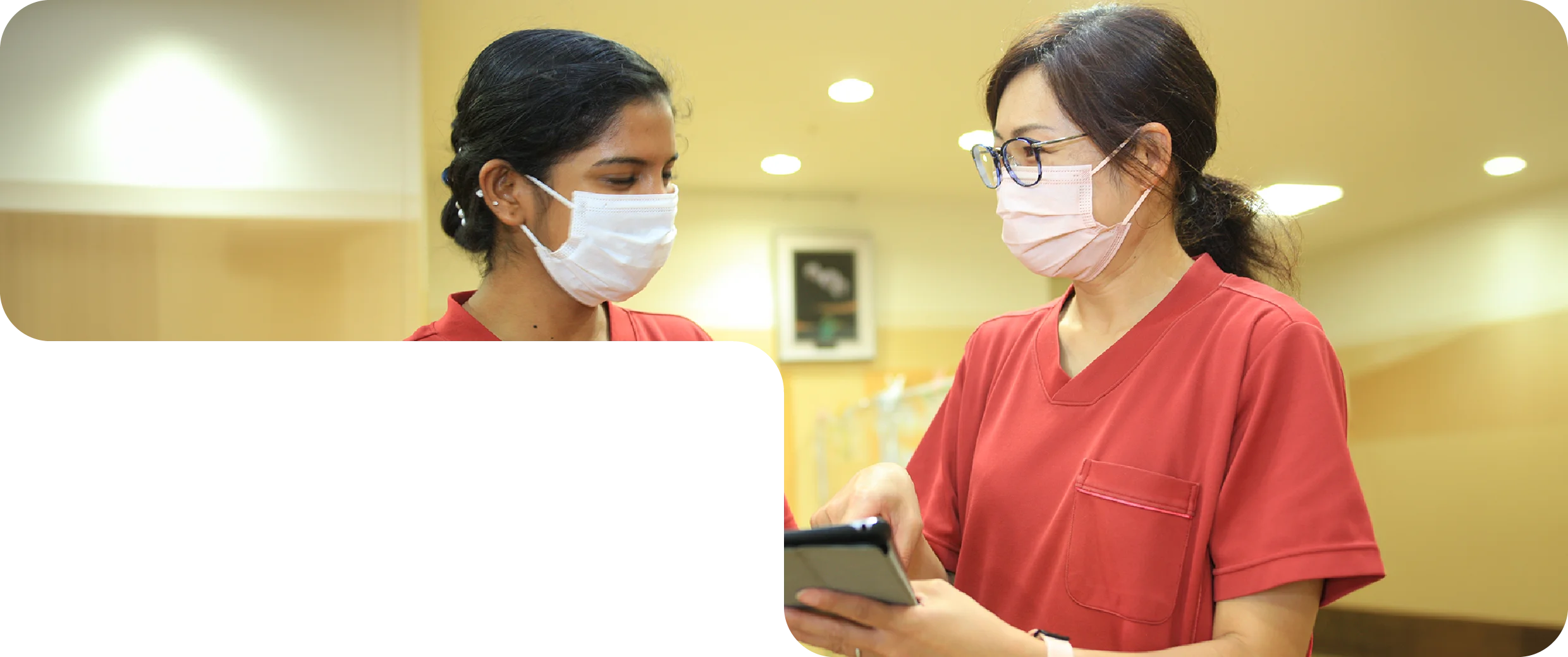 外国人採用の流れ