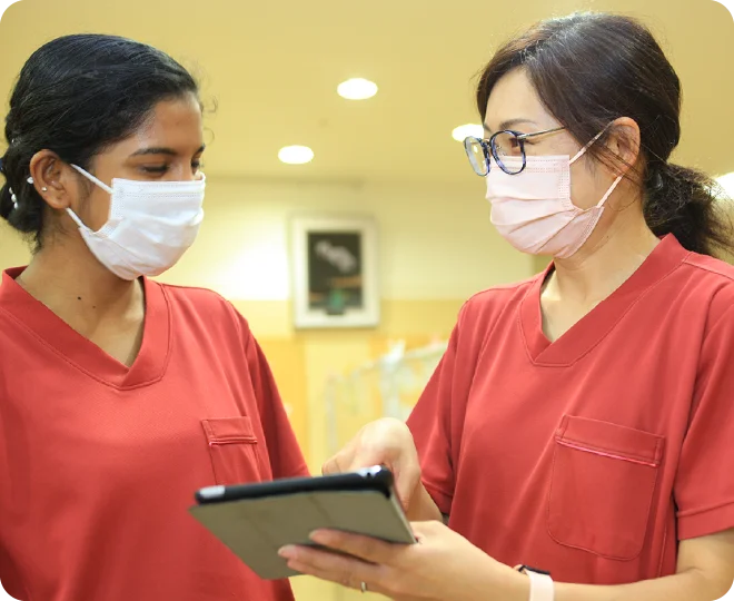 外国人採用の流れ